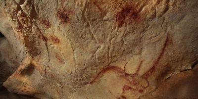 Frise des rhinoceros rouges  Patrick aventurier- Caverne du Pont dArc 10